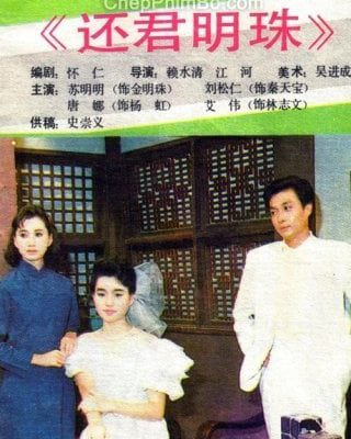 Tình Trả Cho Anh 1987 – 39 Tập