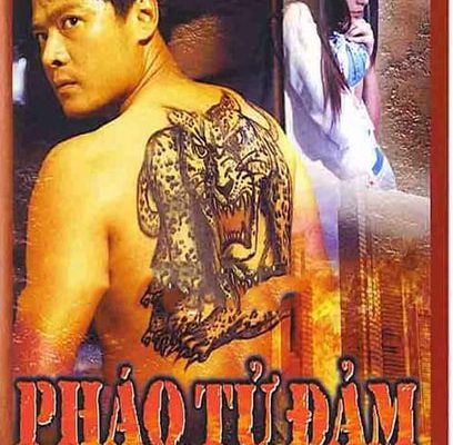 Pháo Tử Đảm (Kẻ Lang Thang) 2002 – 20 Tập