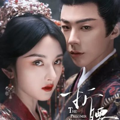 Khom Lưng 2025 – 36 Tập