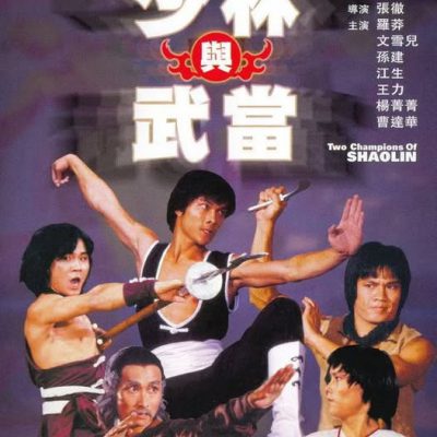 Thiếu Lâm Và Võ Đang 1980