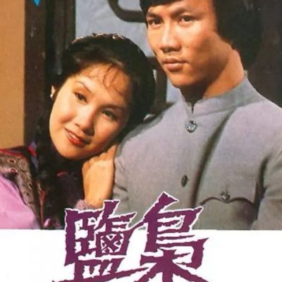 The Salt Lord (盐枭) 1980 – 15 Tập