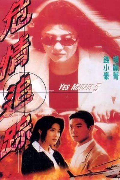 Tiêu Diệt Nhân Chứng 9: Ngụy Tình Truy Án 1996