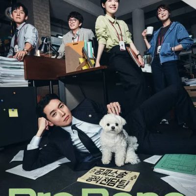 Luật Sư Công Ích 2025 – 12 Tập