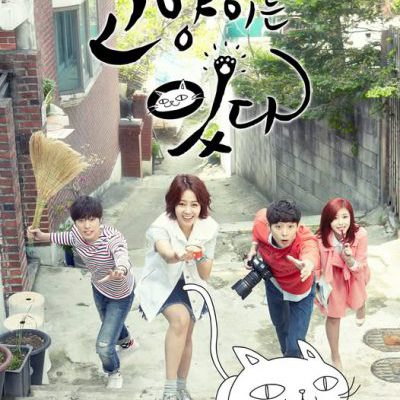 Mèo Cưng Em Ở Đâu 2014 – 119 Tập